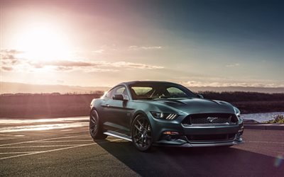 Ford Mustang, 2017, coup&#233;, carro desportivo, cinza Mustang