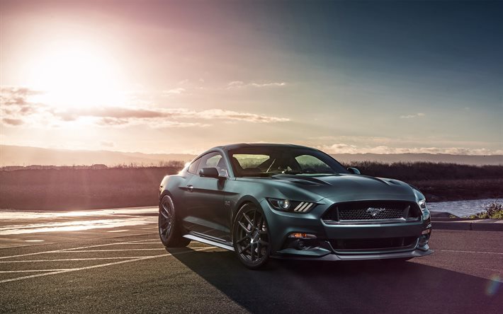 Ford Mustang, 2017, coupe, coche deportivo, gris Mustang