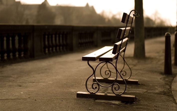 morning, bench, wooden bench, promenade