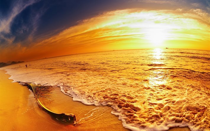morning, sunset, ocean, fishing, coast, waves