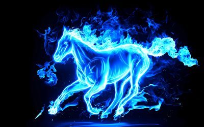 cheval, n&#233;on cheval, bleu, cheval fougueux