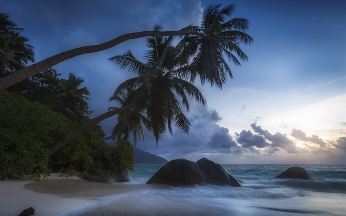 puesta de sol, noche, playa, mar, palmeras, el Oc&#233;ano &#205;ndico, las islas Seychelles