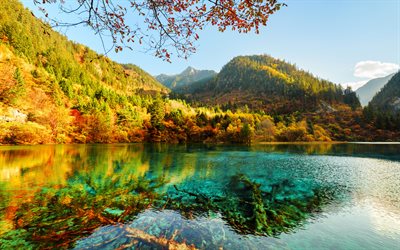 Jiuzhaigou Nationalpark, h&#246;st, skogen, blue lake, Asien, Kina