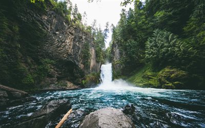 Toketee Faller, vattenfall, skogen, rock, USA, vatten, Oregon