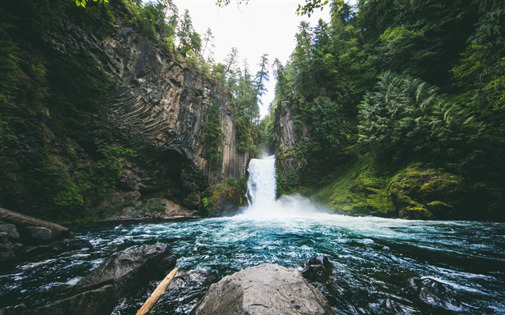 Toketee Falls, waterfall, forest, rock, USA, water, Oregon