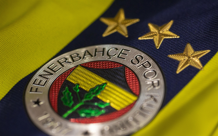Fenerbahce SK, 4k, Turkish football club, logo, emblem, fabric, T-shirt, Turkey