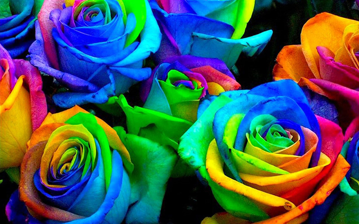 colorful roses bouquet, macro, colorful backgrounds, bouquet of roses, bokeh, colorful flowers, roses, buds, colorful roses, beautiful flowers, backgrounds with flowers