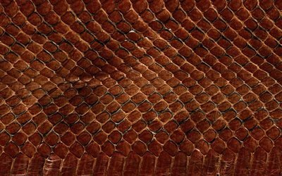 brown snake skin, makro, reptil hud, orm hud texturer, brown snake, brunt l&#228;der bakgrund, close-up, l&#228;der bakgrund, snake skin