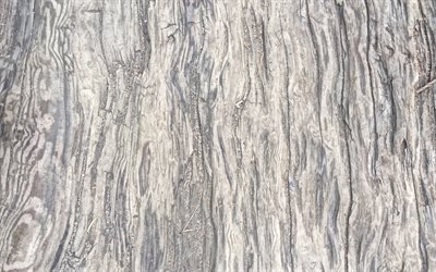 luce la texture del legno, in legno chiaro, sfondo, texture naturali, legno, tessuti naturali