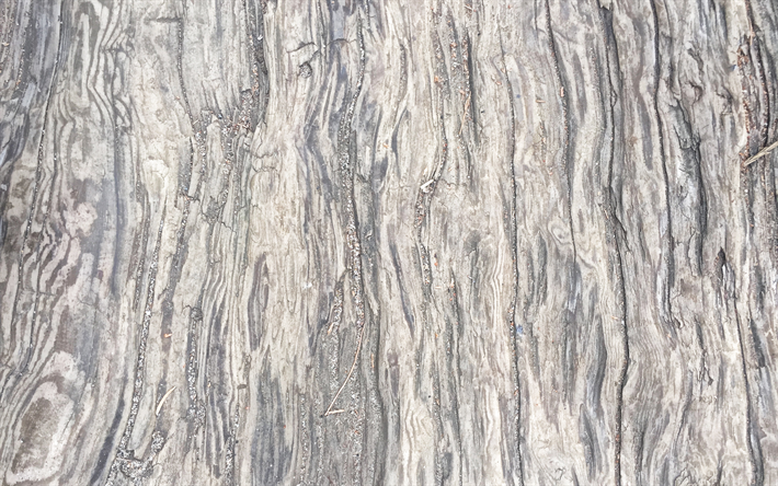 la lumi&#232;re texture de bois, bois clair, fond, textures naturelles, de bois, de textures naturelles