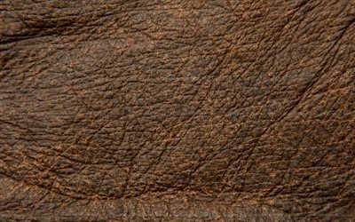 en cuir brun texture, close-up, de textures de cuir, de cuir de texture de fond, brun origines, de cuir, de milieux, de la macro, du cuir
