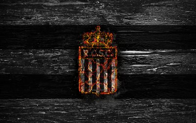 Charleroi FC, fire logo, Jupiler League, white and black lines, Belgium football club, grunge, RSC Charleroi, football, soccer, Charleroi logo, wooden texture, Belgium