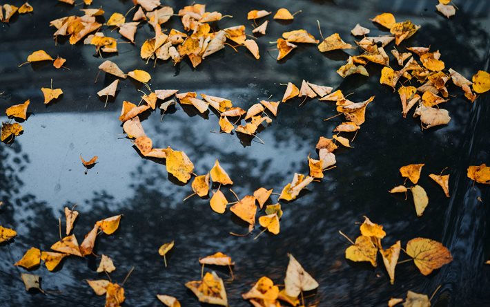 Cuore di foglie gialle, concetti di amore, amo l&#39;autunno, foglie gialle, cuore creativo