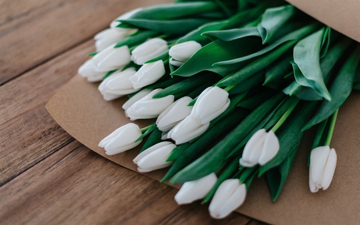 tulipani bianchi, bouquet di tulipani, fiori primaverili bianchi, tulipani, sfondo con tulipani, bellissimi fiori bianchi