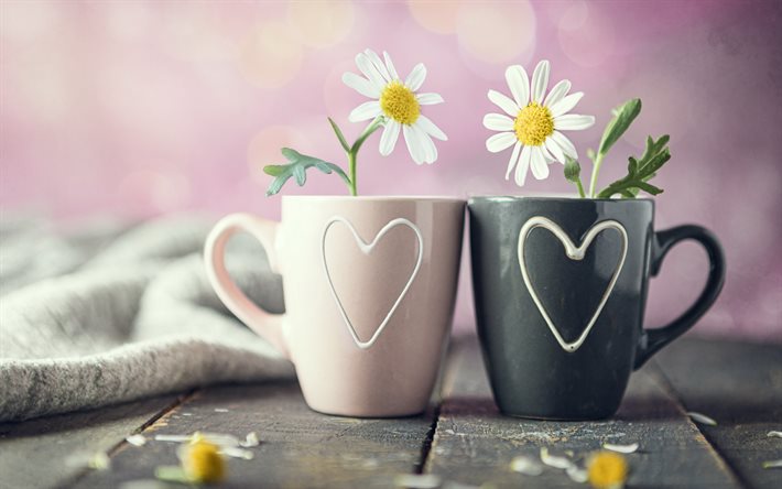 un couple de tasses, camomille, romance, concepts d’amour, tasses avec des cœurs, tasses avec des fleurs