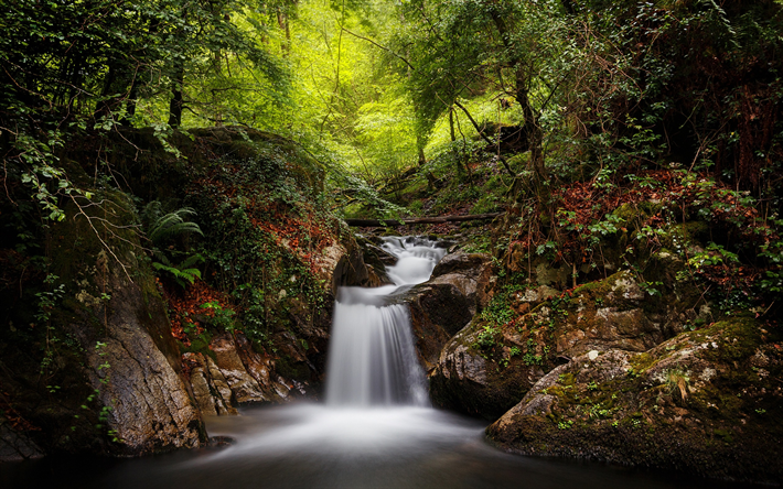 cachoeira, floresta, &#225;rvores verdes, rio, Artikutza, Pela goizueta, Navarra, Espanha