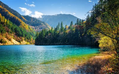 Tibet, 4k, Jiuzhaigou National Park, autumn, forest, chinese landmarks, blue lake, Asia, China