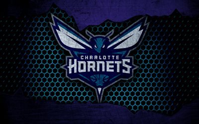 Charlotte Hornets, 4k, logo, NBA, basketball, Eastern Conference, USA, grunge, metal texture, Southeast Division