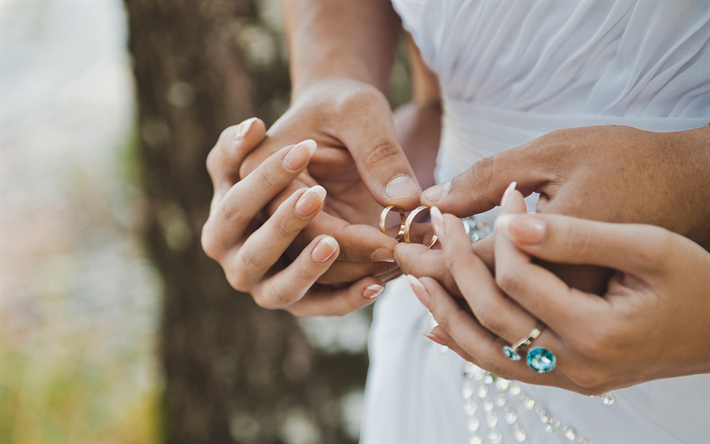 wedding rings, 4k, bridegroom, bride, wedding, white dress, gold rings, wedding concepts