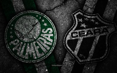 Palmeiras vs Ceara, 丸30, エクストリーム-ゾー, ブラジル, サッカー, 場合はヤシの木, Ceara FC, ブラジルのサッカークラブ