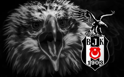 Besiktas JK, art, logo with an eagle, emblem, Turkish Football Club, Istanbul, Turkey, eagle, Besiktas