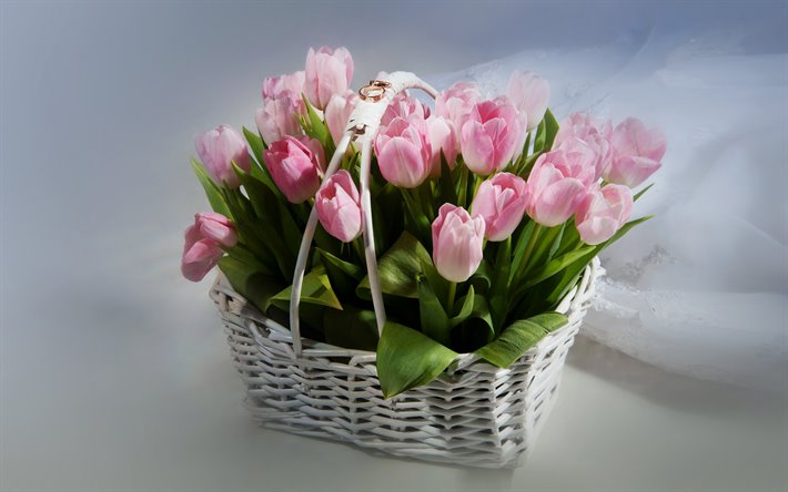 wedding rings, pink tulips, wedding, basket of flowers, Golden rings