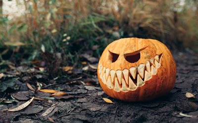 Halloween, pumpkin, autumn, forest, October 31, autumn holidays, decorative pumpkin