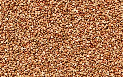 buckwheat textures, macro, food textures, buckwheat, cereals, groats textures, close-up, buckwheat backgrounds
