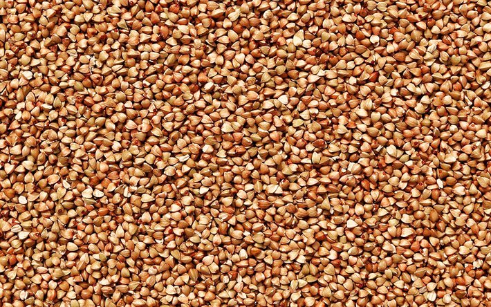 il grano saraceno texture, macro, cibo texture, grano saraceno, cereali, semole texture, close-up, grano saraceno sfondi