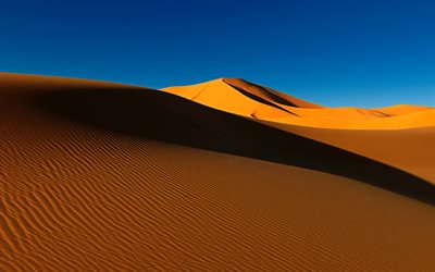 d&#233;sert, dunes de sable, vagues de sable, en Afrique, coucher de soleil, le soir, des dunes