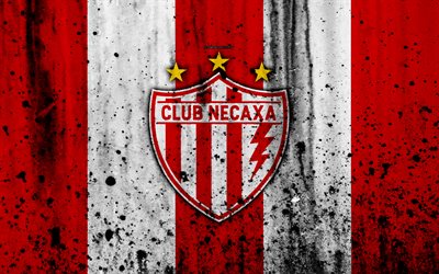 4k, FC Necaxa, grunge, Liga MX, futebol, arte, Primeira Divis&#227;o, clube de futebol, Mexico, Necaxa, textura de pedra, Necaxa FC