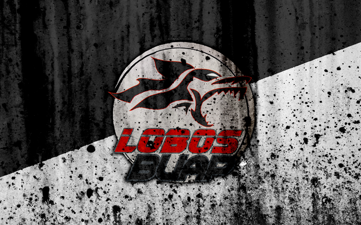 4k, FC Lobos BUAP, grunge, Lig MX, futbol, sanat, Lig, Futbol Kul&#252;b&#252;, Meksika, Lobos BUAP, taş doku, Lobos BUAP FC