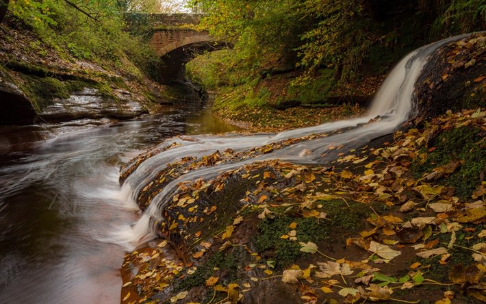 Gelt Bridge, autumn, waterfall, yellow fallen leaves, forest, River Gelt, England
