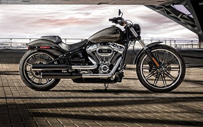 Harley-Davidson Breakout, 2019, Milwaukee-&#197;tta Big Twin 114, exteri&#246;r, side view, lyx motorcykel, amerikanska motorcyklar, Harley-Davidson