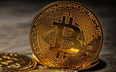 Bitcoin concepts, Bitcoin Gold Coin, cryptocurrency concepts, Bitcoin, finance concepts, business