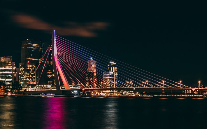Erasmus Bridge, Rotterdam, Meuse Nehri, gece, Rotterdam şehir, g&#252;zel bir k&#246;pr&#252;, Hollanda