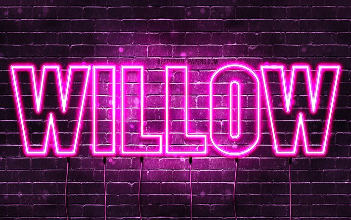 Willow, 4k, wallpapers with names, female names, Willow name, purple neon lights, horizontal text, picture with Willow name