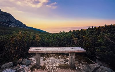 wooden bench in the mountains, forest, mountain landscape, sunset, mountains