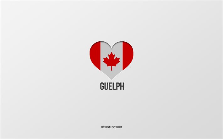 グエルフが大好き, カナダの都市, 灰色の背景, ゲルフ, カナダ, カナダ国旗のハート, 好きな都市
