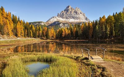 lago de montanha, outono, paisagem de montanha, floresta, &#225;rvores amarelas, paisagem de outono