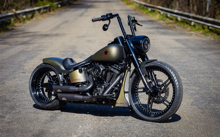 Download Wallpapers 2020 Harley Davidson Softail Slim S Thunderbike Black Star Custom Bike