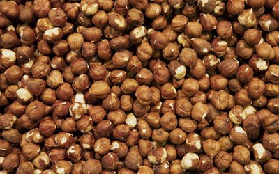 hazelnut texture, nuts background, hazelnut background, hazelnut, background with hazelnut