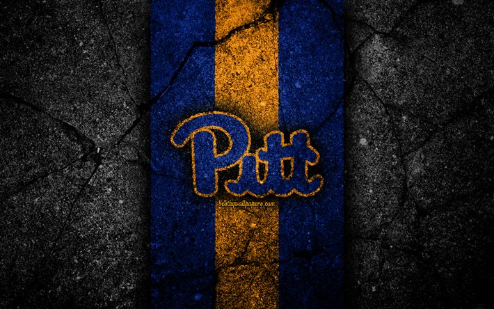 Pittsburgh Panthers, 4k, squadra di football americano, NCAA, pietra gialla blu, USA, trama di asfalto, football americano, logo Pittsburgh Panthers