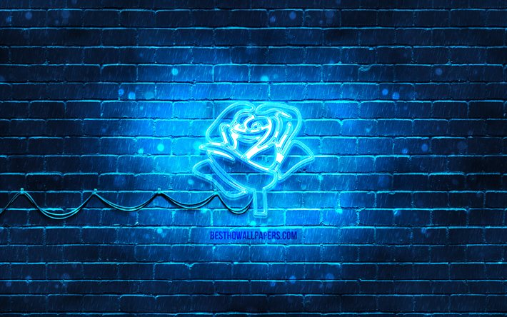 رمز النيون الأزرق روز, 4 ك, الخلفية الزرقاء, رموز النيون, وردة زرقاء, أيقونات النيون, علامة الوردة الزرقاء, زهور النيون, علامات الطبيعة, رمز زهرة زرقاء, أيقونات الطبيعة