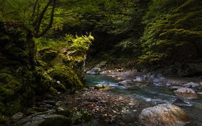 Vall&#233;e d&#39;Iya, ruisseau de montagne, rochers, montagnes, for&#234;t, arbres verts, Tokushima, Japon