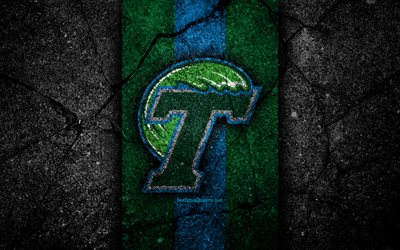 Tulane Green Wave, 4k, time de futebol americano, NCAA, pedra verde azul, EUA, textura de asfalto, futebol americano, logotipo Tulane Green Wave