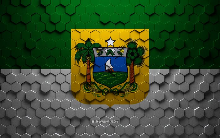 リオグランデドノルテ, ハニカムアート, リオグランデドノルテ六角形の旗, 3D六角形アート