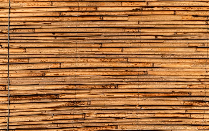 4k, bamboo sticks, close-up, horizontal bamboo sticks, brown bamboo, bamboo canes, bambusoideae sticks, macro, background with bamboo, bamboo