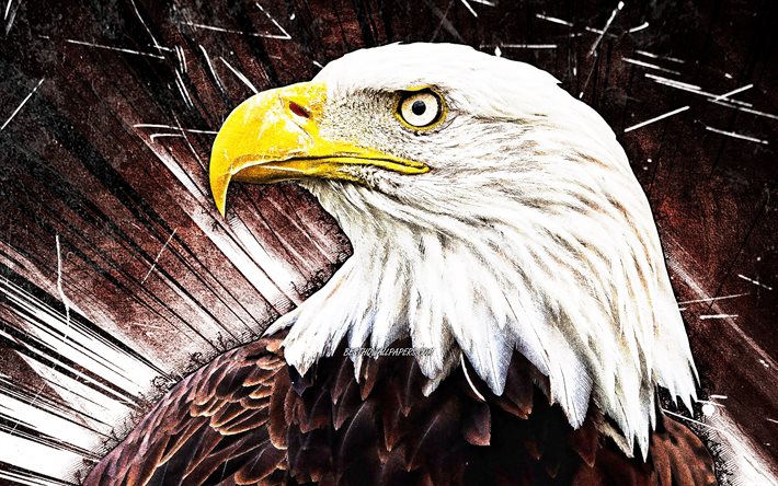 4k, Bald Eagle, grungekonst, USA-symbol, kreativ, Nordamerikas f&#229;glar, &#246;rn, bruna abstrakta str&#229;lar, Haliaeetus leucocephalus, Bald Eagle 4K