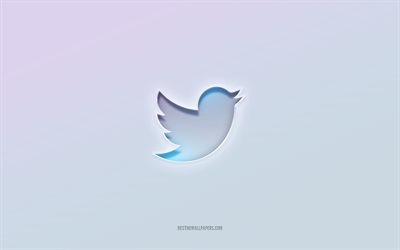 Twitter-logotyp, utskuren 3d-text, vit bakgrund, Twitter 3d-logotyp, Twitter-emblem, Twitter, pr&#228;glad logotyp, Twitter 3d-emblem